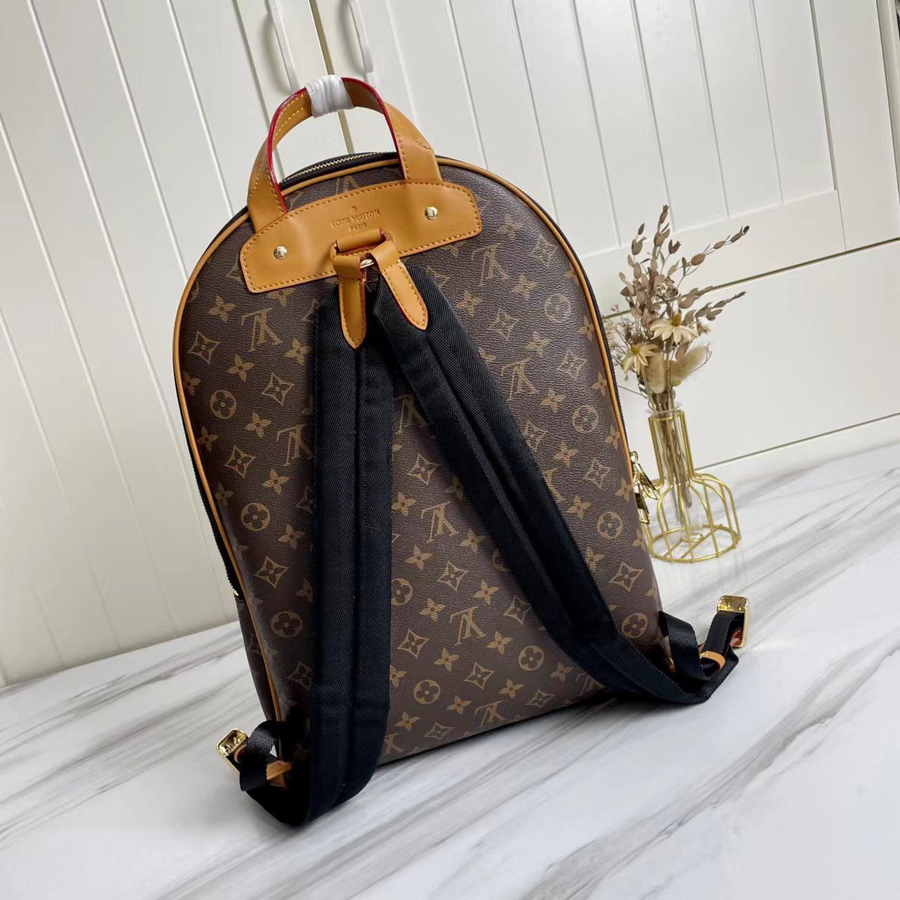 LV Backpack